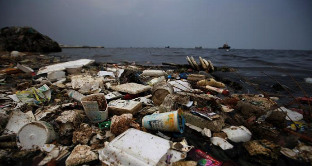 Dinas Lingkungan Hidup Langsa